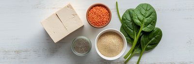 Flat lay of various vegan protein sources.