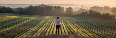 Person overlooking a sustainable agricultural landscape.
