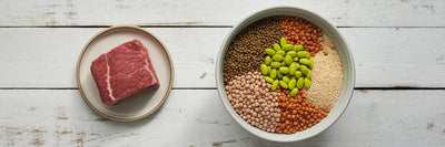 Plant protein bowl versus small beef portion.