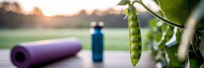 Green pea pod on vine with fitness gear